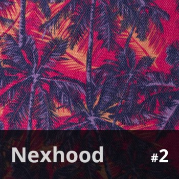 Nexhood 2